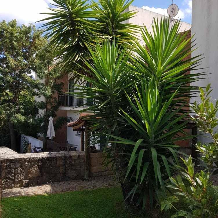 Alto Do Sobreiro Βίλα Escalos de Cima Εξωτερικό φωτογραφία