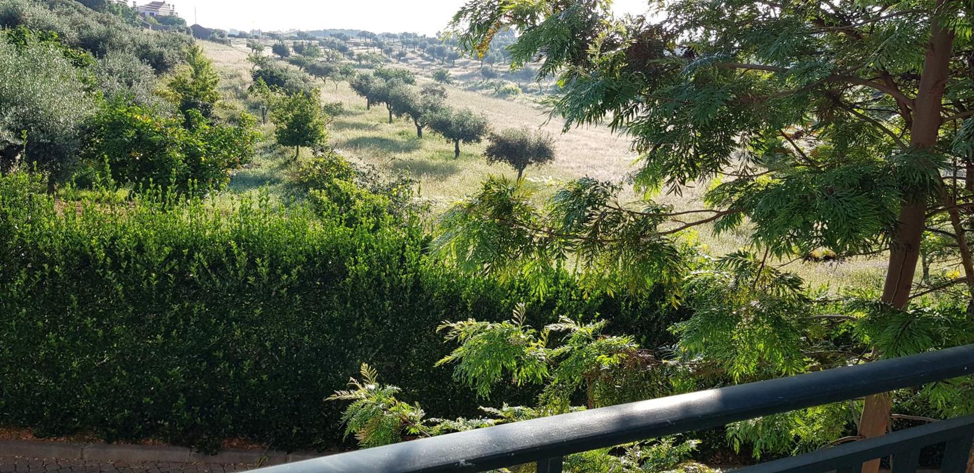 Alto Do Sobreiro Βίλα Escalos de Cima Εξωτερικό φωτογραφία